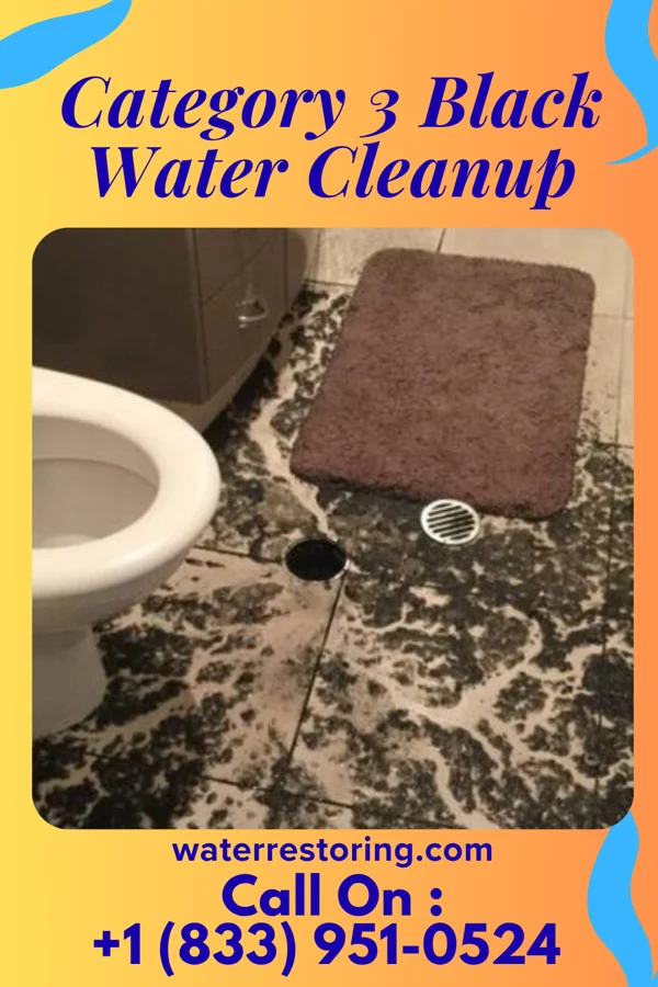Category 3 Black Water Cleanup in Myrtle Creek, OR