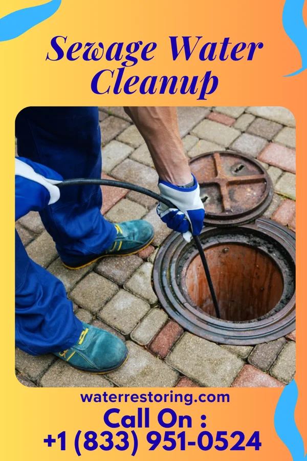 Sewage Water Cleanup in Myrtle Creek, OR